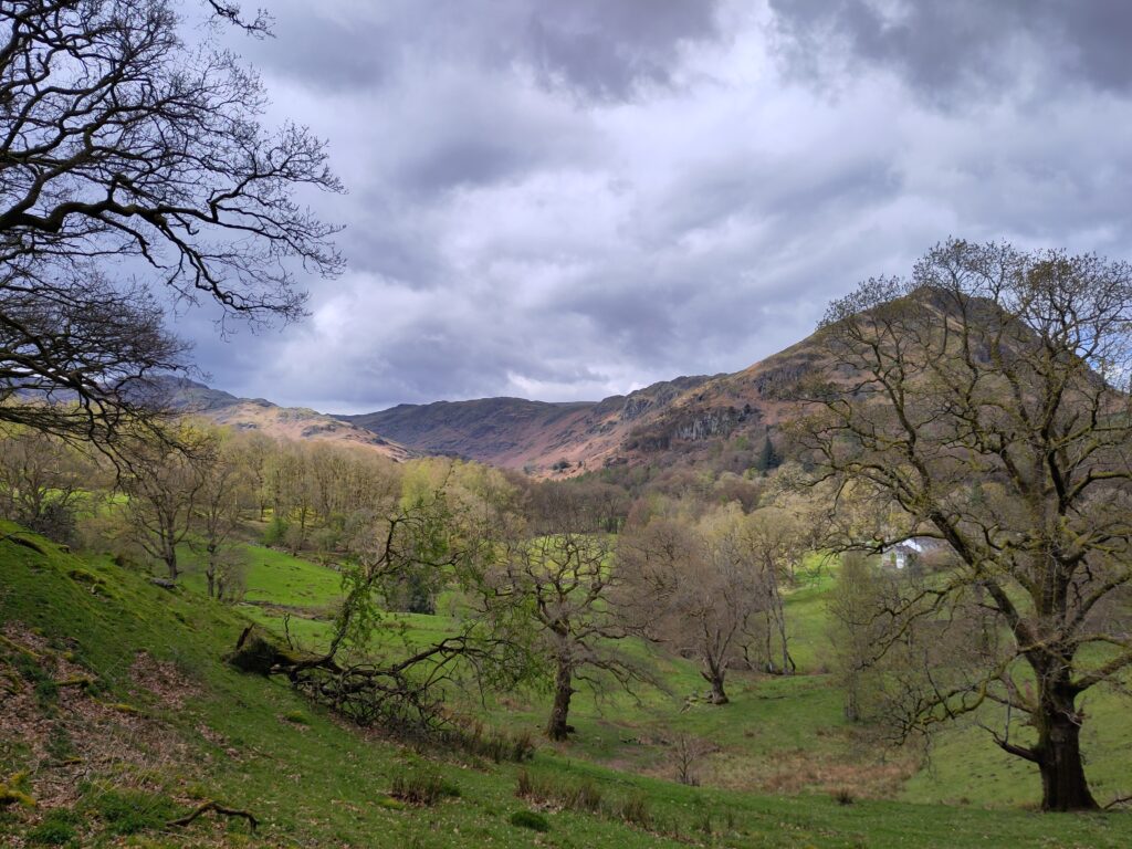 Trees and roling hills of the Lake district