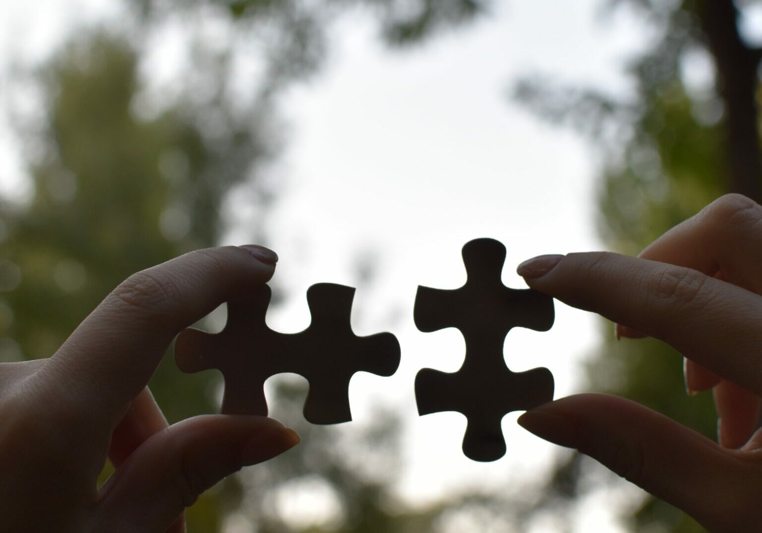 A monochrome image of two hands showing matching jigsaw puzzle pieces