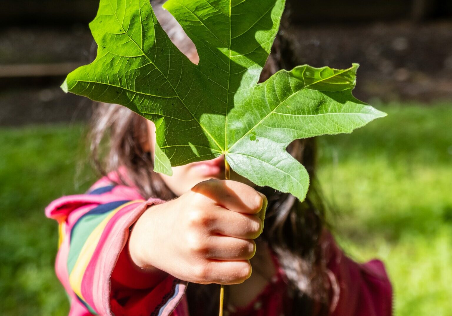 A child holding a large green leaf in front of its face