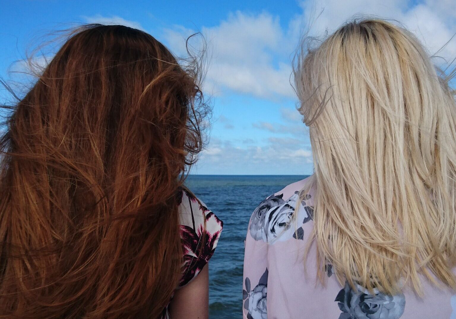The back of two women's heads